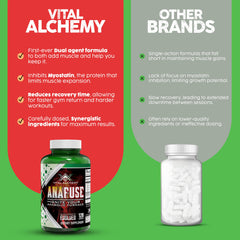 Vital Alchemy Anafuse daily-use routine montage for stamina support