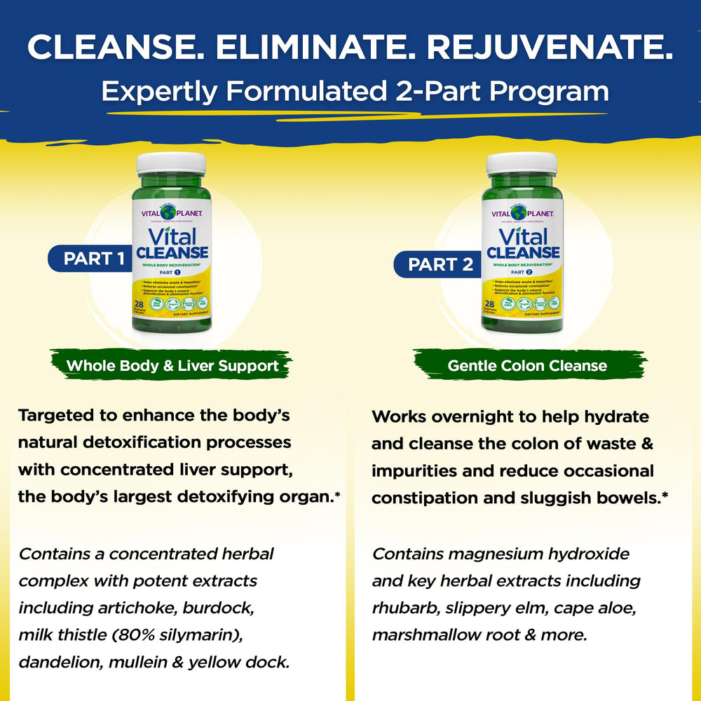 Diagram showing liver and colon support for Vital Cleanse