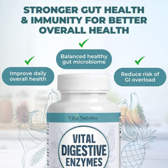 Visual representation of gut health and digestive wellness