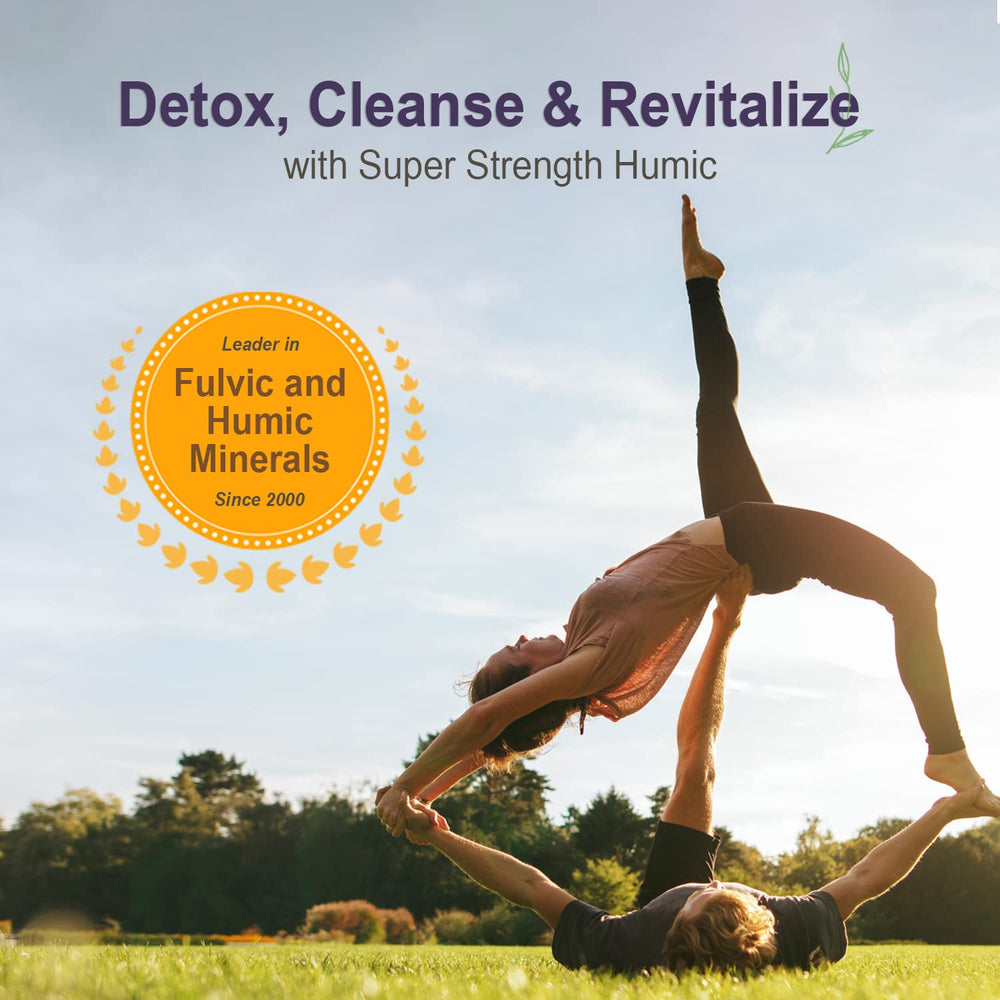 Digestive health concept with prebiotics and gut support