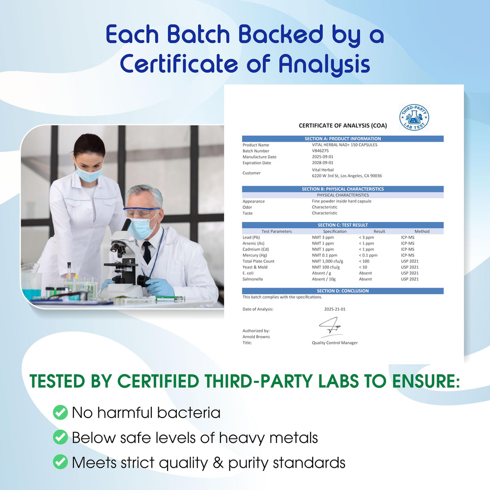 Vital Herbal brand logo