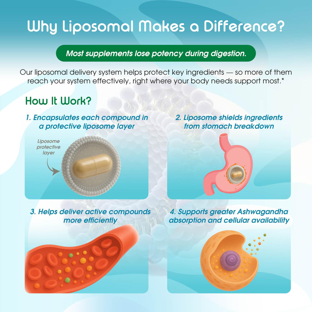 Ashwagandha and natural ingredients used in the formula