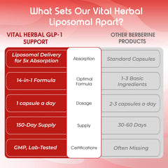 Concept image of liposomal delivery and enhanced absorption