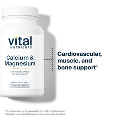 Vital Nutrients allergen-free facility image signals purity and safety.