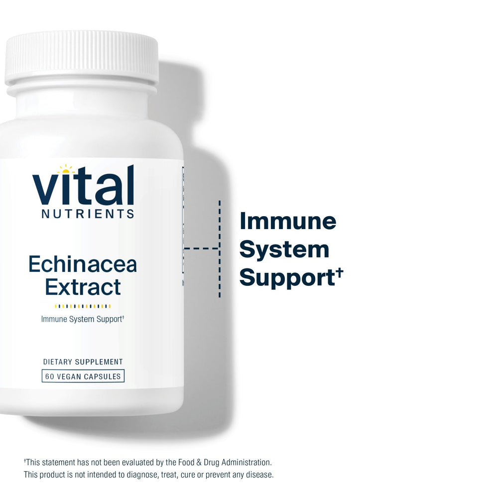 Healthy immune support concept with echinacea imagery