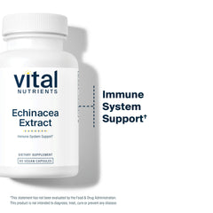 Healthy immune support concept with echinacea imagery
