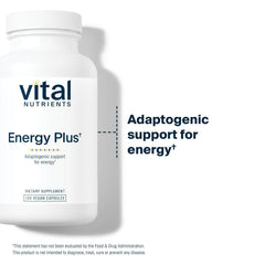 Herbal ingredients used in Energy Plus blend