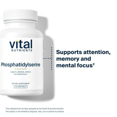 Nerve support and exercise endurance concept with phosphatidylserine