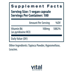 Vitamin B6 bottle label showing 100 mg per serving