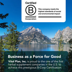 Vital Plan Active Enzymes packaging on a white background