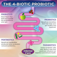 Illustration of gut-brain health and probiotic benefits