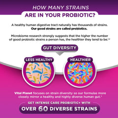 Organic prebiotics and postbiotic complex