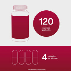 Supplement facts and packaging of Vital Proteins Cartilage Collagen