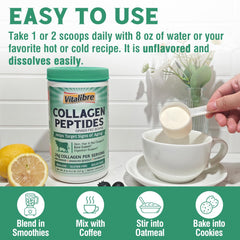 Illustration highlighting collagen types I & III