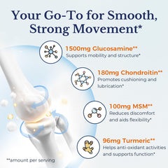 Illustration of glucosamine chondroitin msm turmeric collagen ingredients