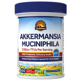 Vitalitown Akkermansia Probiotic bottle with 60 vegetable capsules