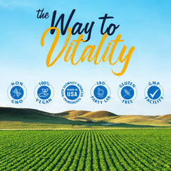 Gut health and digestion concept imagery