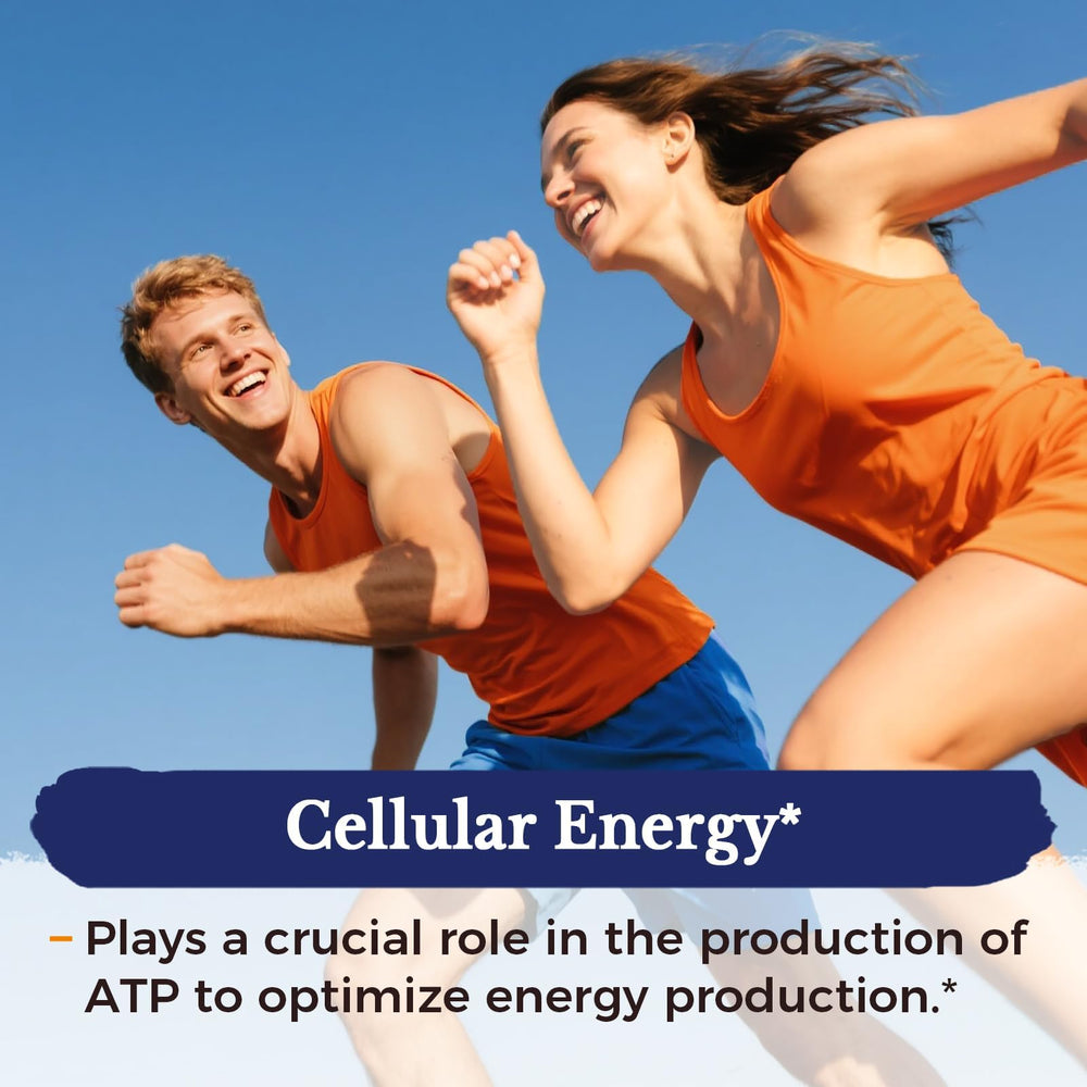 Graphic illustrating triple-pathway NAD synthesis