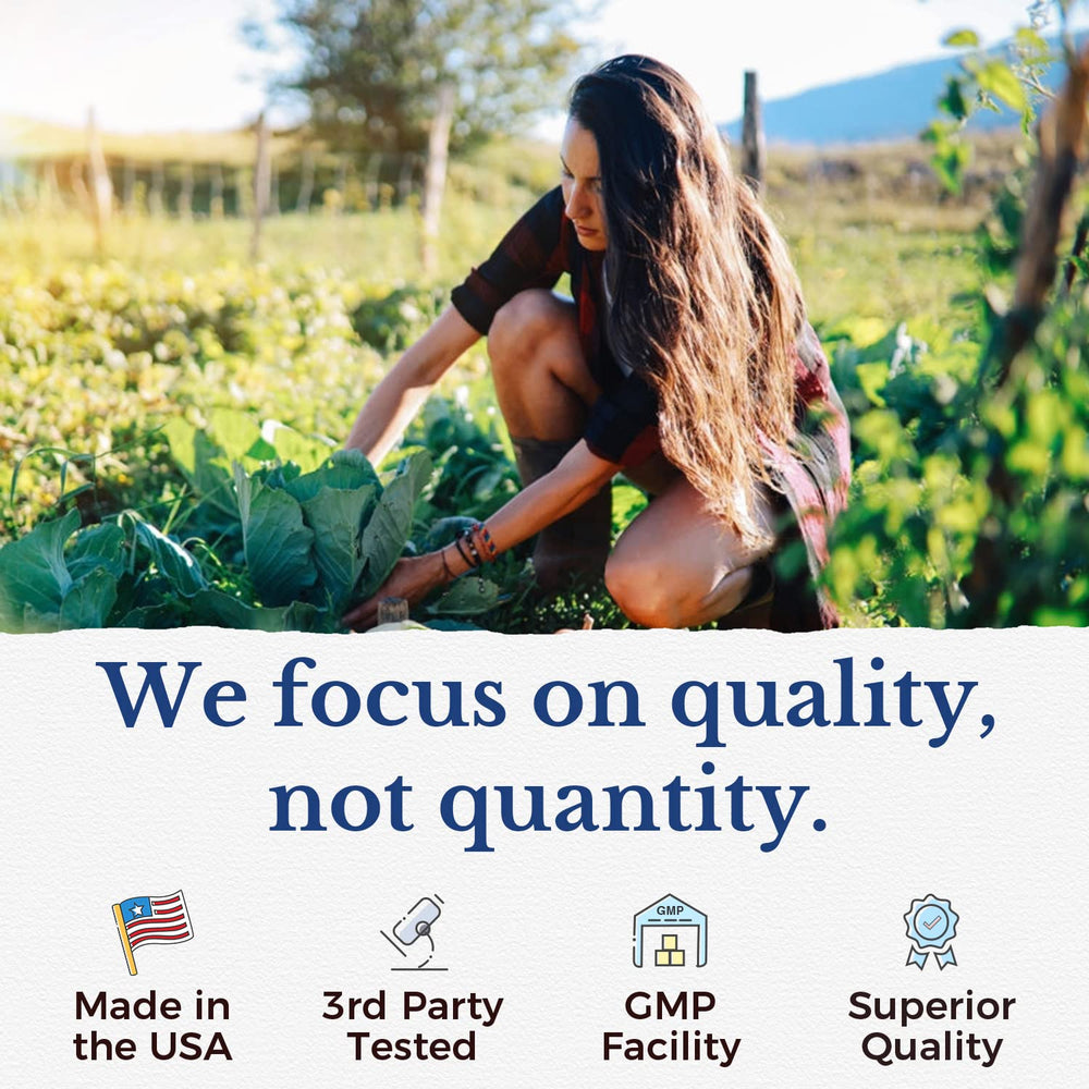 Digestive enzymes and prebiotics illustration for Vitalitown Probiotics