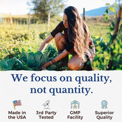 Digestive enzymes and prebiotics illustration for Vitalitown Probiotics