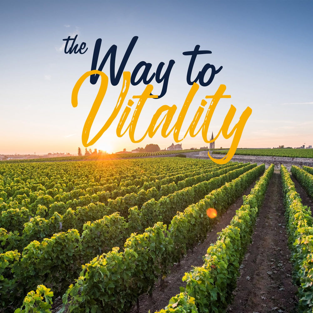 Made in USA indication on Vitalitown Probiotics packaging