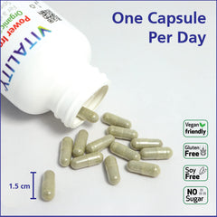 Visual emphasizing iron deficiency support and blood builder