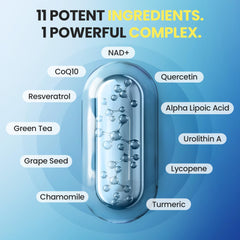 Front view of Vitamax packaging emphasizing Made in USA and 60 count