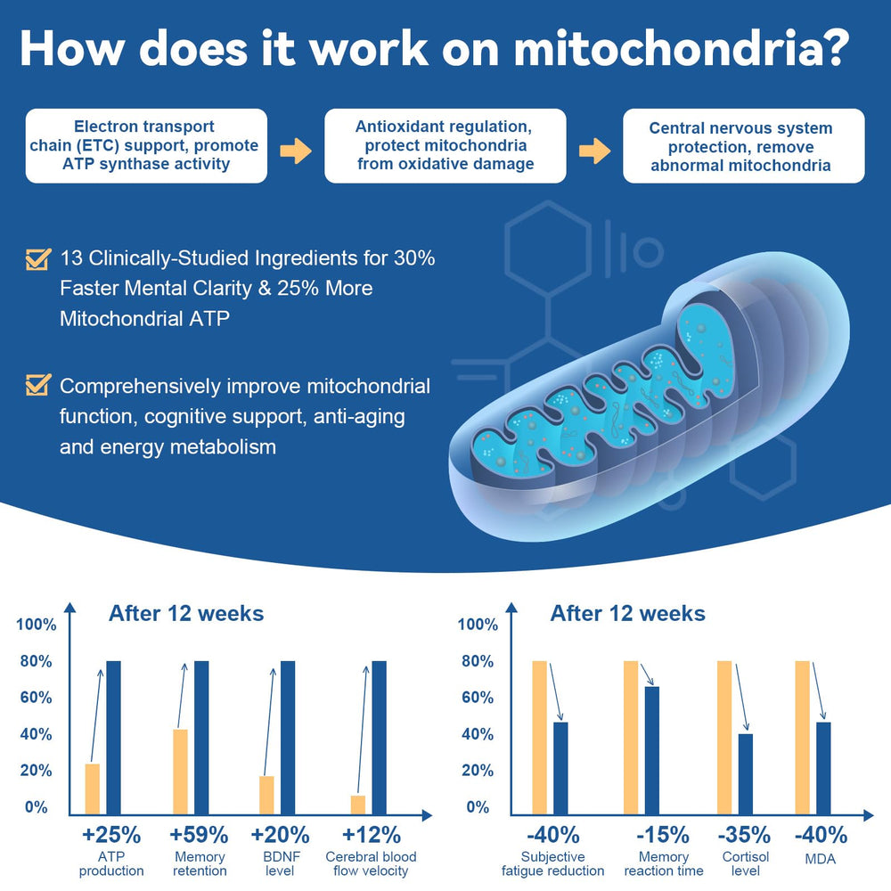 Vitamin C Ester and Omega-3 added for oxidation balance