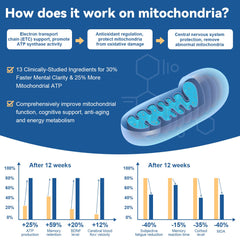Vitamin C Ester and Omega-3 added for oxidation balance
