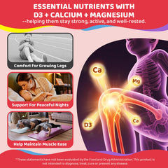 Bones and teeth health illustration highlighting calcium absorption