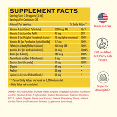 Packaging highlighting vegan, non-GMO, gluten-free and sugar-free attributes