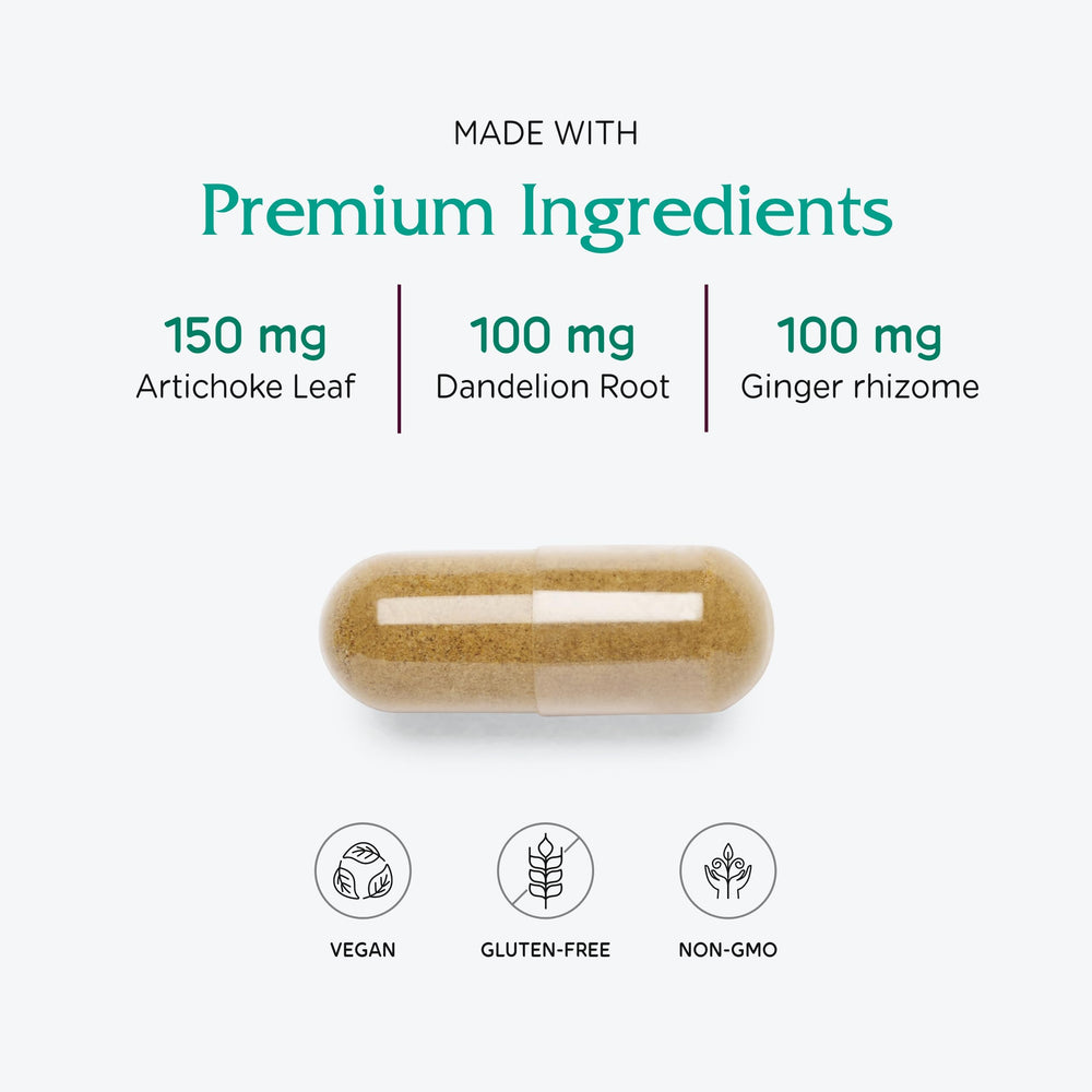 Graphic representation of digestion support from Bitters Extra