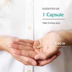 Graphic representing brain health and cognition