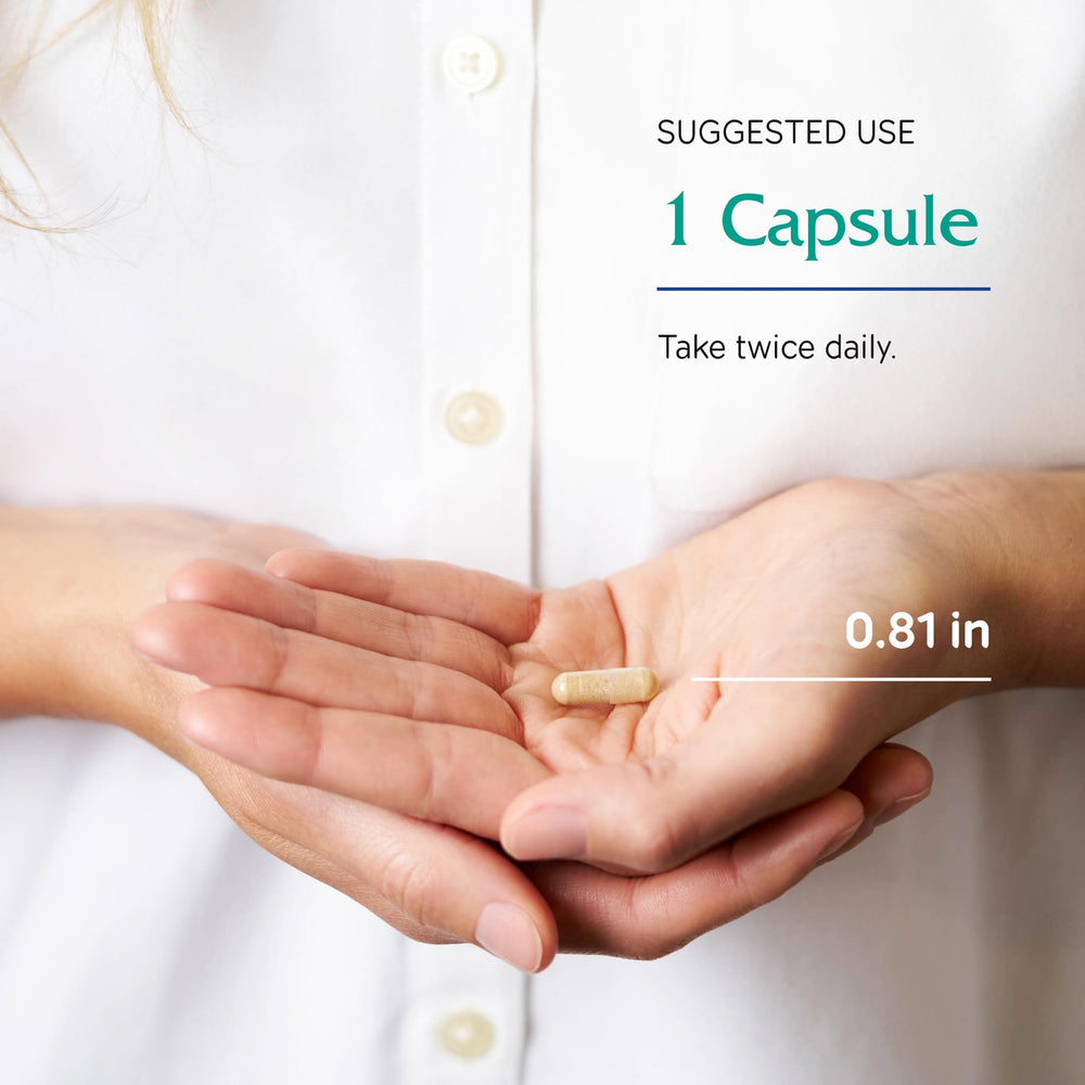 Diagram illustrating vein and capillary support