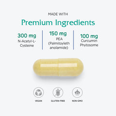 Antioxidant ingredients: pine bark extract and curcumin phytosome