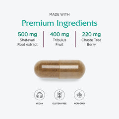 Shatavari, an Ayurvedic herb for female health