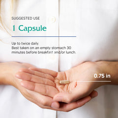 Vegan capsules and plant-based ingredients for Rhodiola product