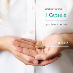 Ginkgo, Rhodiola and Lemon balm imagery for Vitanica Uplift