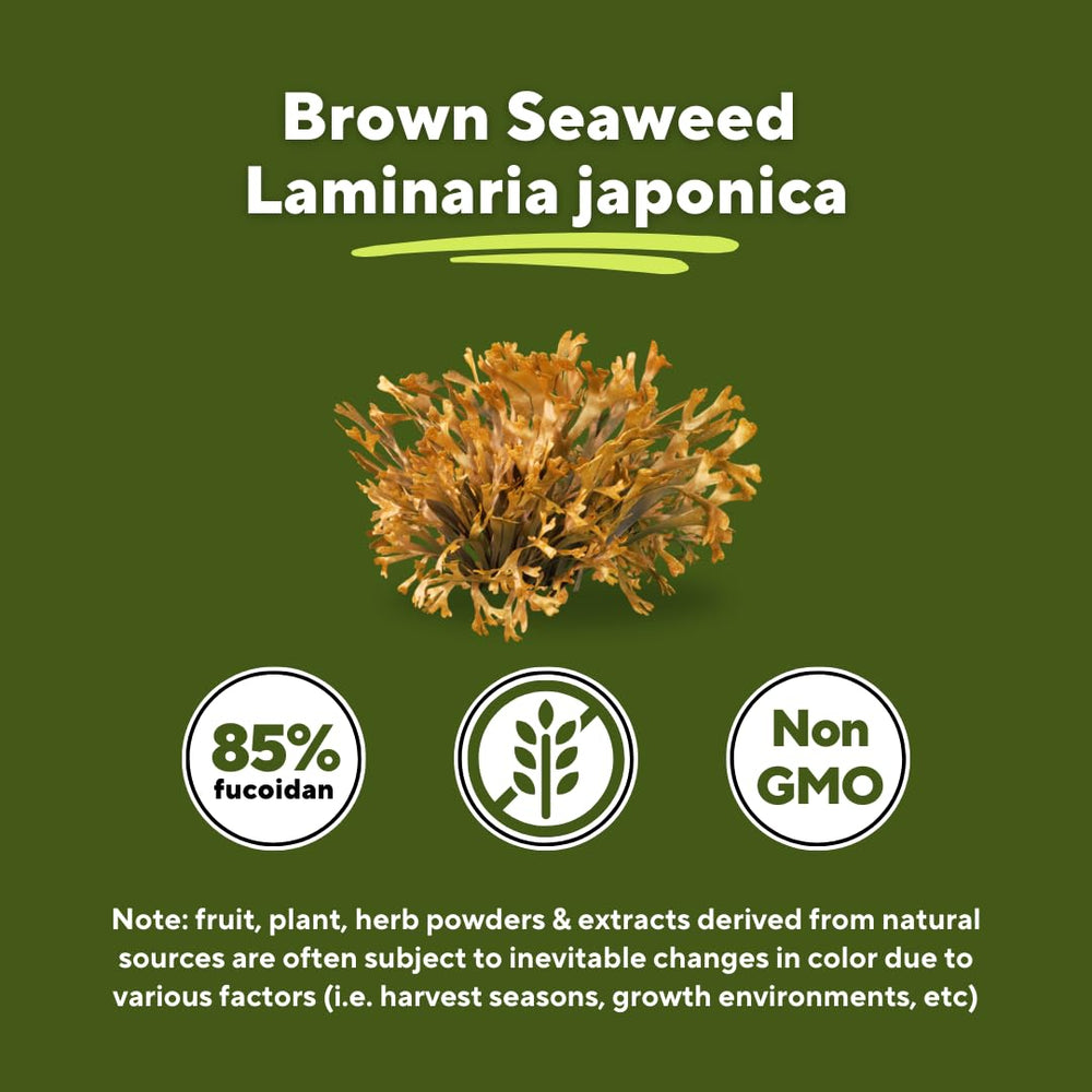 85 percent fucoidan purity from brown seaweed