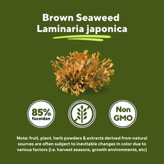 85 percent fucoidan purity from brown seaweed