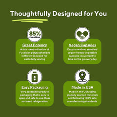 Vegan friendly non-GMO gluten-free fucoidan capsules