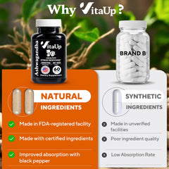 Illustration of enhanced absorption from black pepper