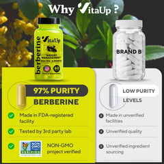 Open VitaUp Berberine 500mg bottle displays easy-to-swallow capsules for daily use