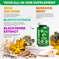 VitaUp sea moss pills for hair, skin, immune support and energy