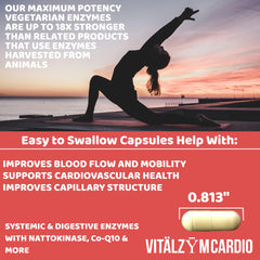 300-capsule bottle of VITÄLZYM Cardio Proteolytic Systemic Enzymes