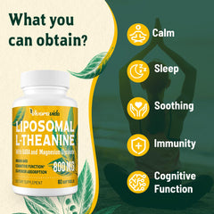 Liposomal delivery technology for L-Theanine, GABA, and Magnesium Glycinate