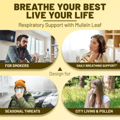 Vegan-friendly vivcmin Mullein Drops bottle with dropper