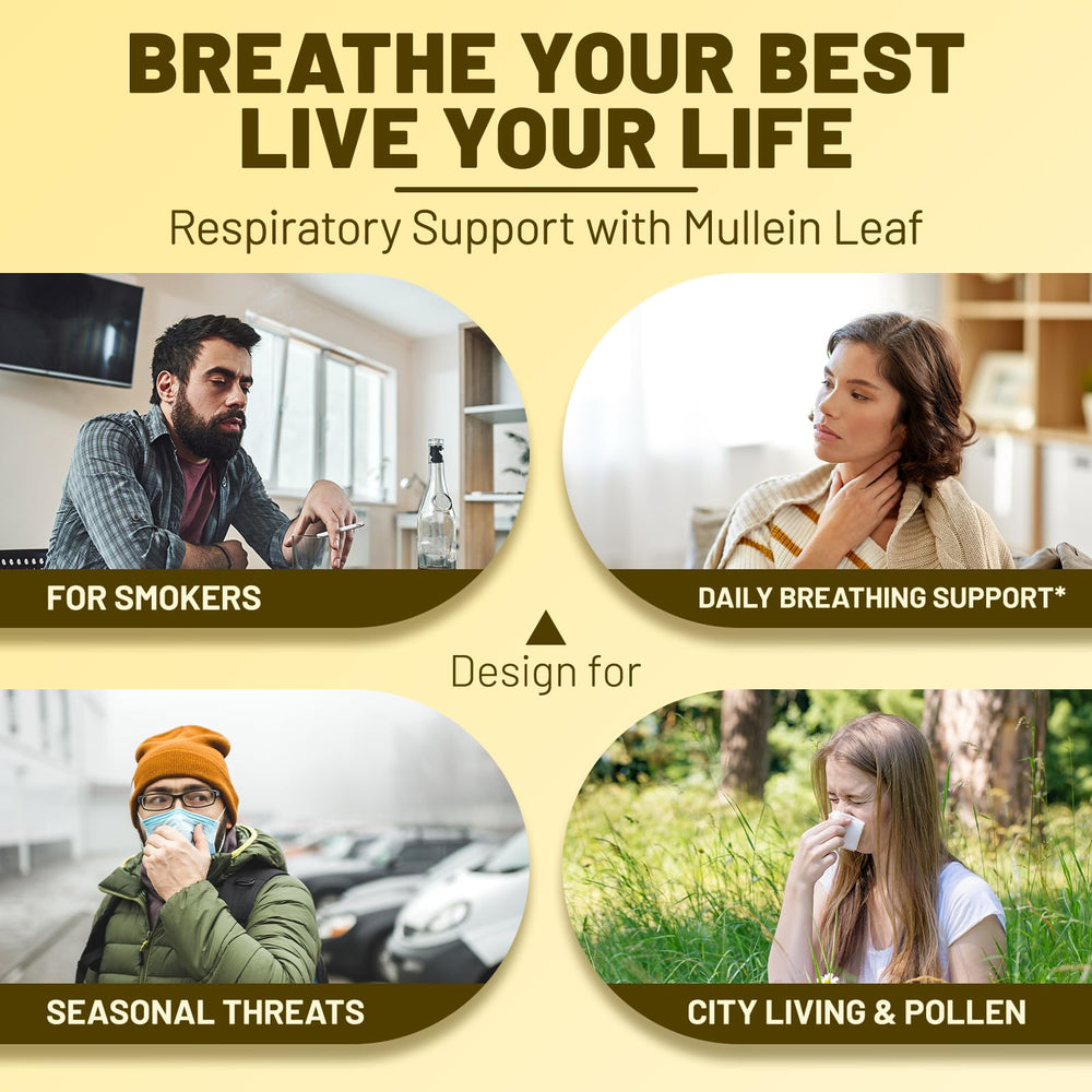 Mullein Leaf, Licorice Root, and Astragalus Root components