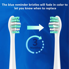 Gum protection and dense bristle design in Vivena replacement heads