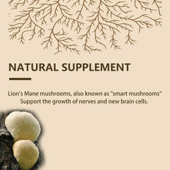 Fine, odorless powder texture of Lion's Mane supplement
